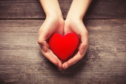 nonprofit accounting services